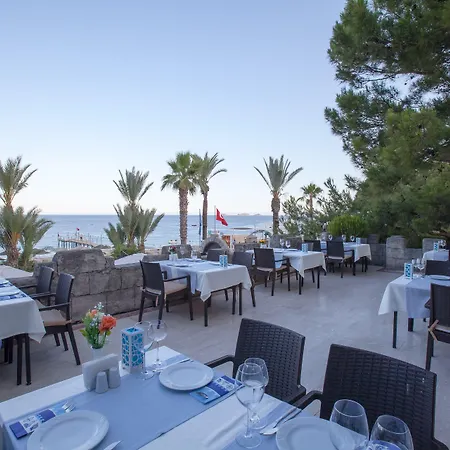 Resort Pirates Club 5*